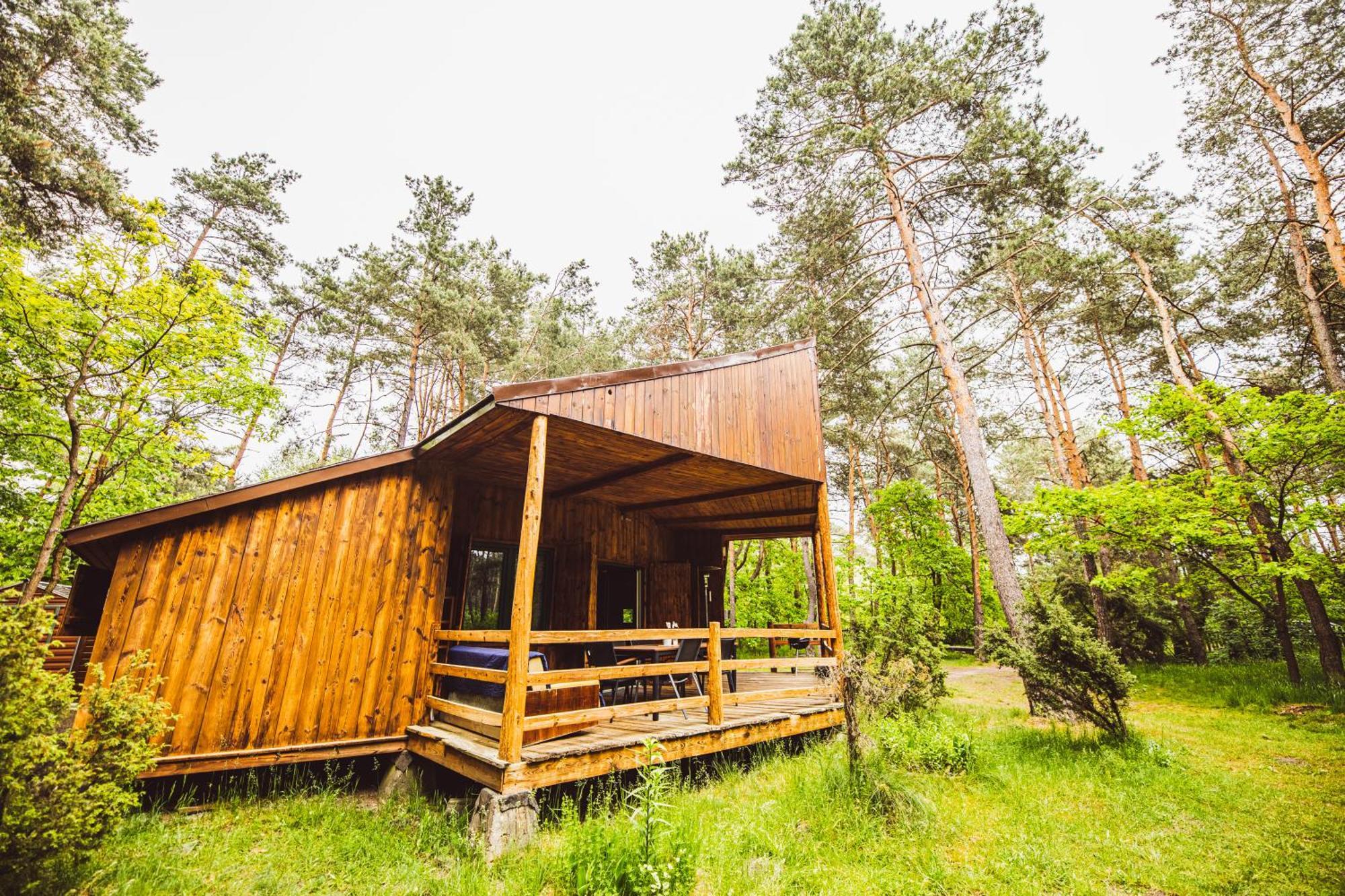 Cozy Nature Retreat With Patio Fireplace Garden Maciejowice 外观 照片
