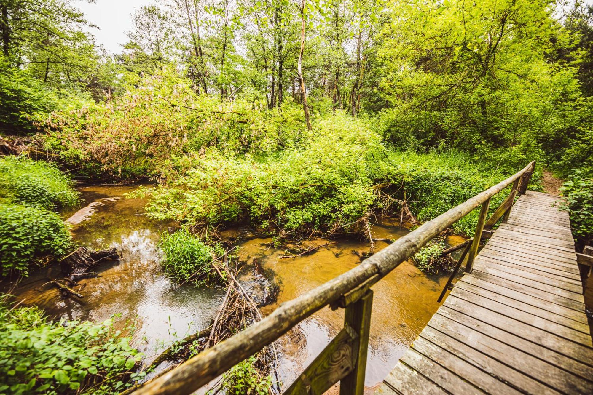 Cozy Nature Retreat With Patio Fireplace Garden Maciejowice 外观 照片